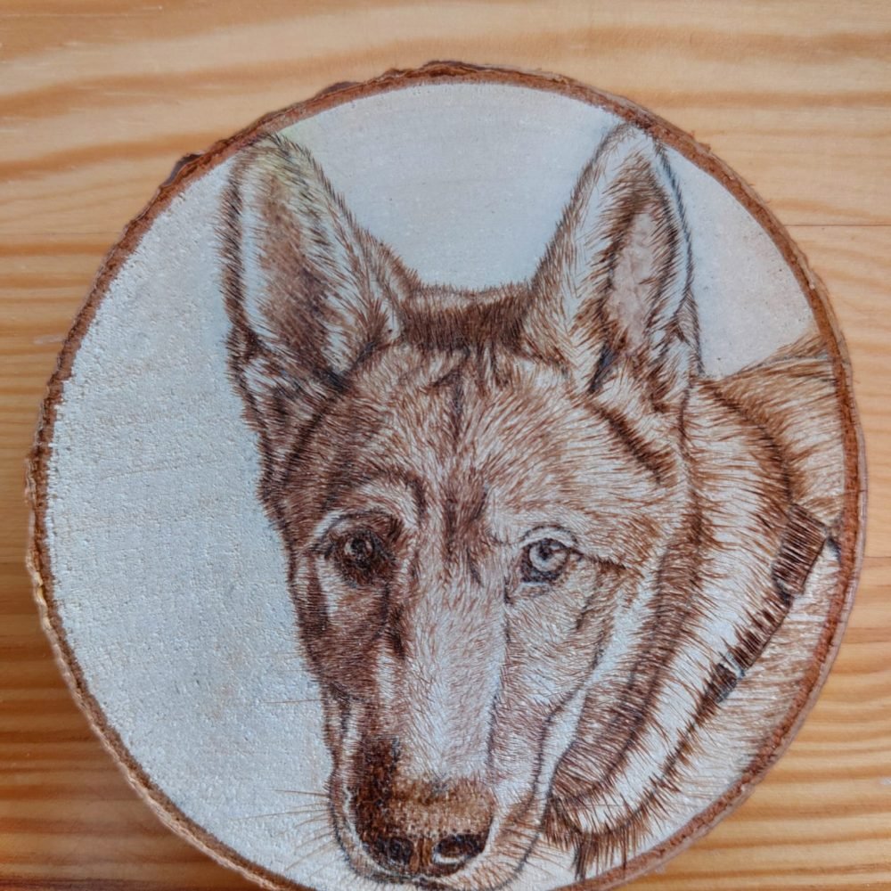 Midas pyrografie 9 cm