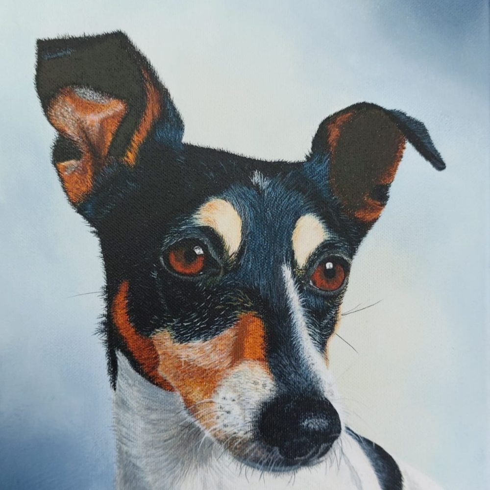 Zowie schilderij 24x30 cm